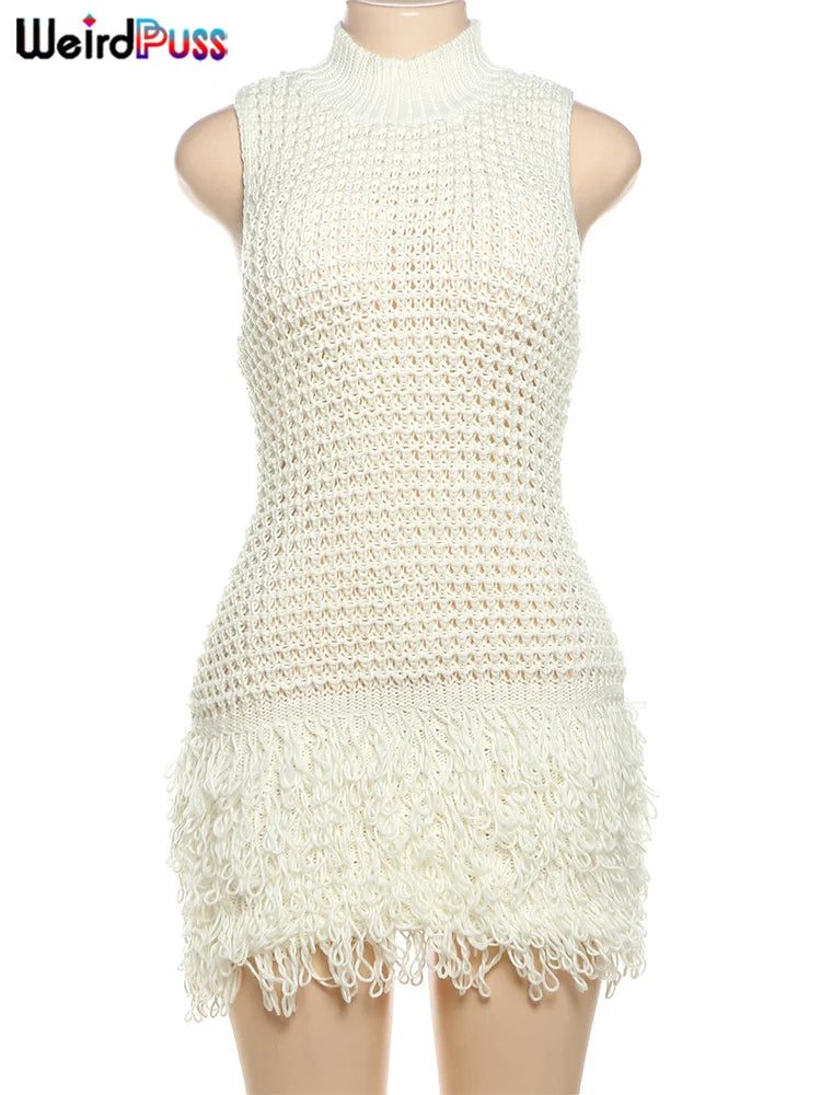 Weird Puss Crochet Tassel Sleeveless Dress