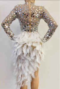 Sparkly Silver Sequins Feather Dress